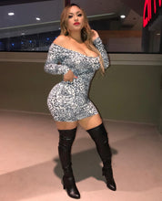 Load image into Gallery viewer, Leopard Print Long Sleeve Dress
