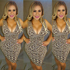 Teresa Dress