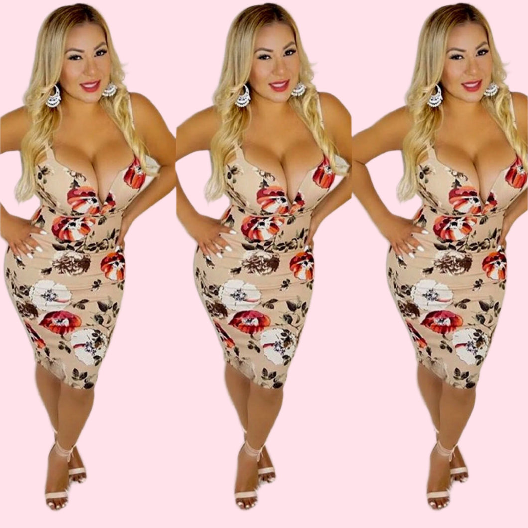 Fernanda's Dress