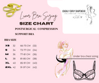 Luxor Compression Bra